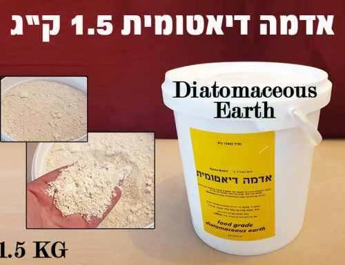 אדמה דיאטומית Food Grade: מה זה, שימושים, בטיחות ואיך לבחור נכון