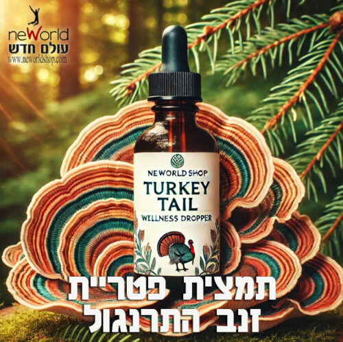 תמצית פטריית מרפא זנב התרנגול טרקי טייל Turkey Tail